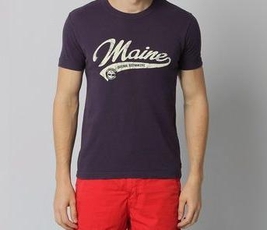 Camiseta Timberland Cities USA 41281201