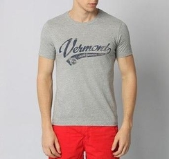 Camiseta Timberland Cities USA 41281201